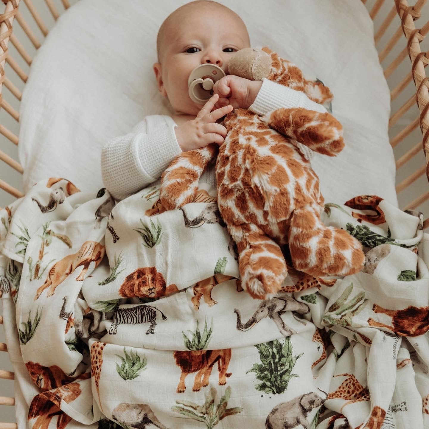 Savannah Safari (Swaddle)