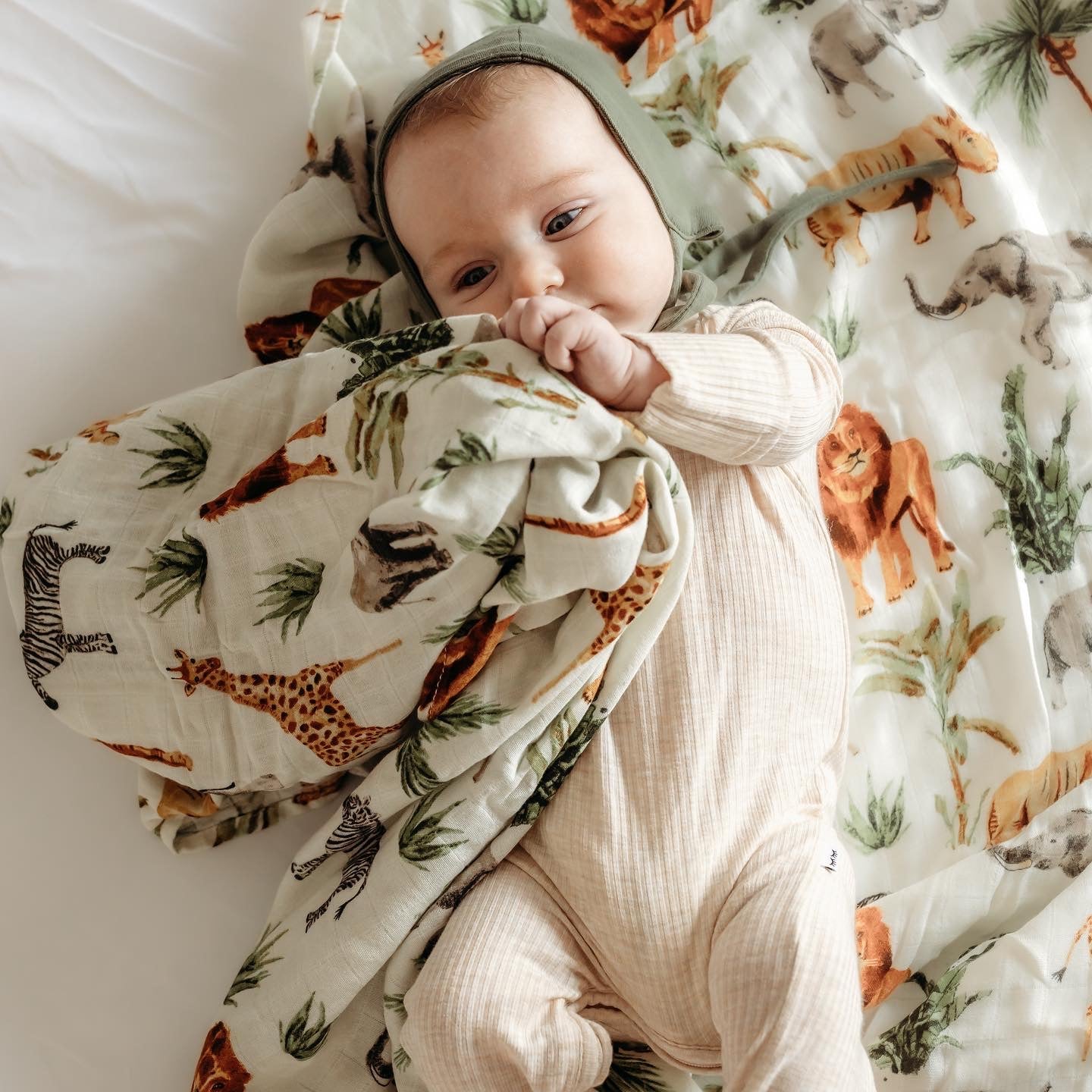 Savannah Safari (Swaddle)
