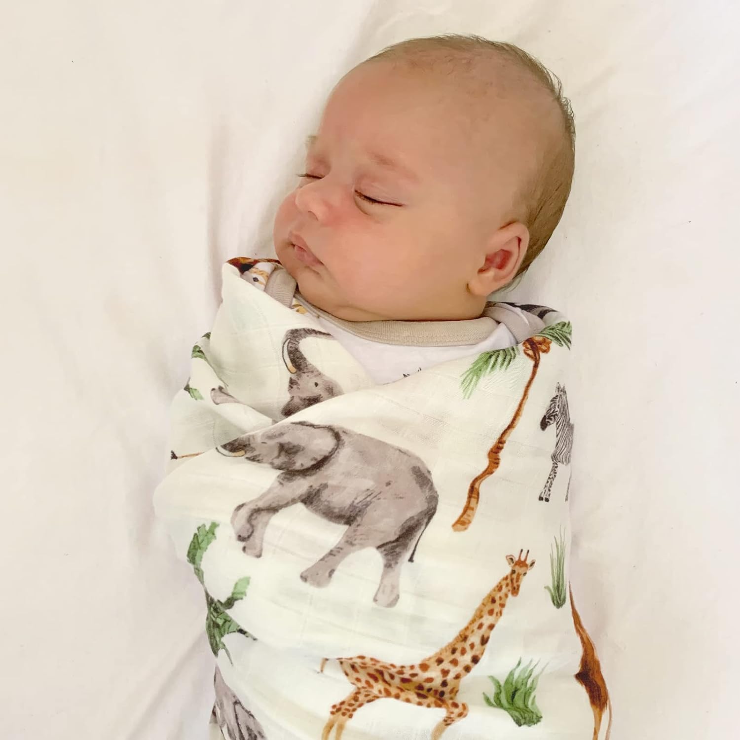 Savannah Safari (3 pcs Gift Set)