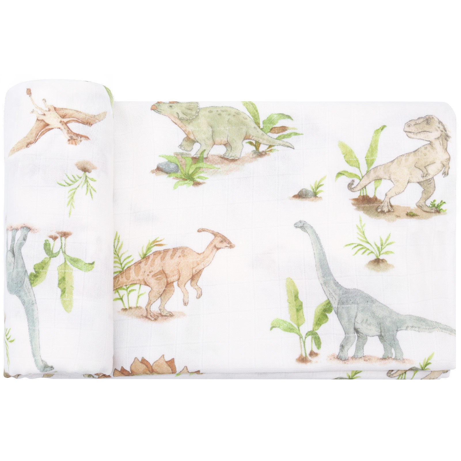 Dinosaur Marvel (Swaddle)