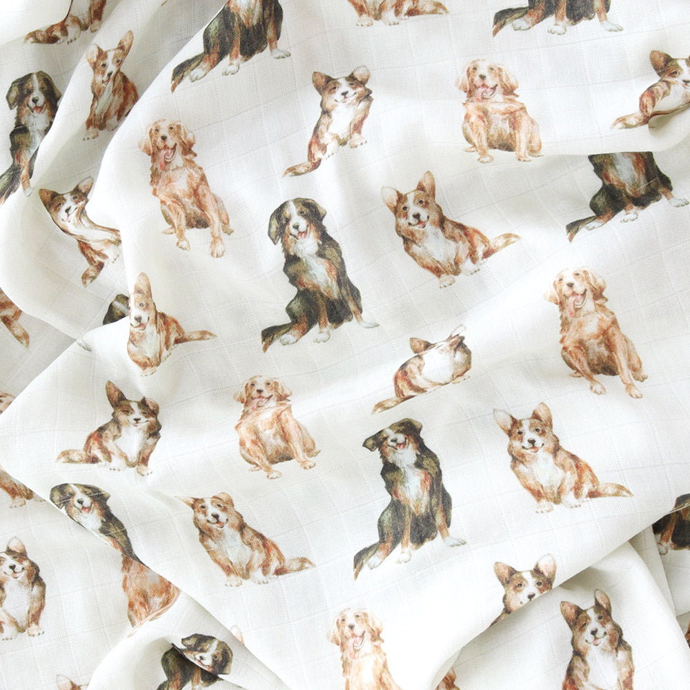 Picture Pawfect (Swaddle)