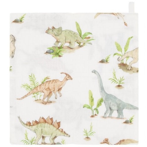 Dinosaur Marvel (Wash Cloth)