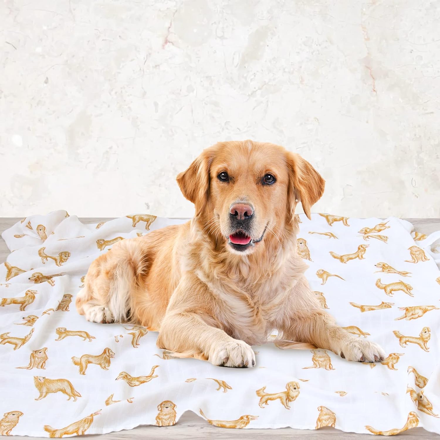 Golden Retriever (Swaddle)