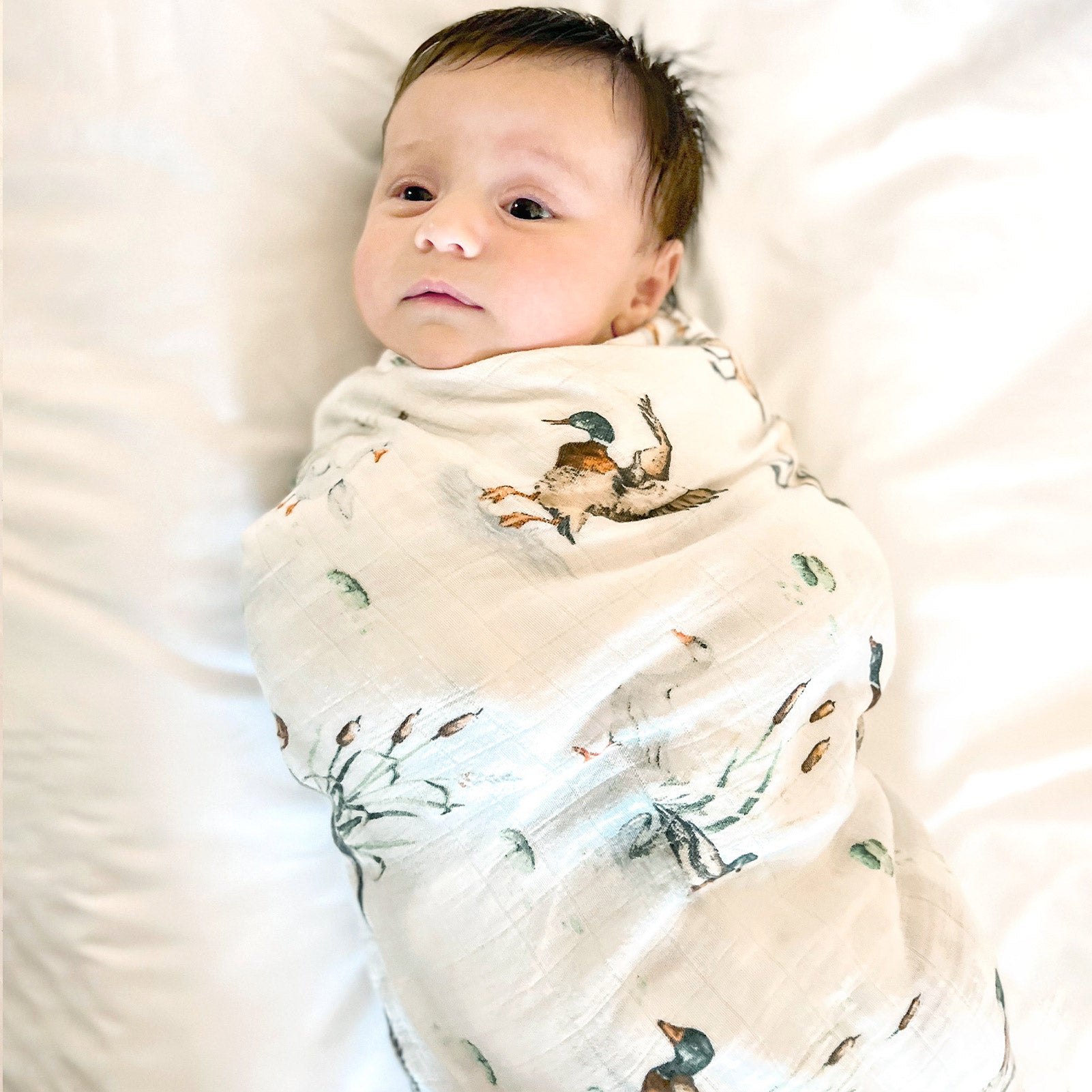 Mallard Duck (Swaddle)