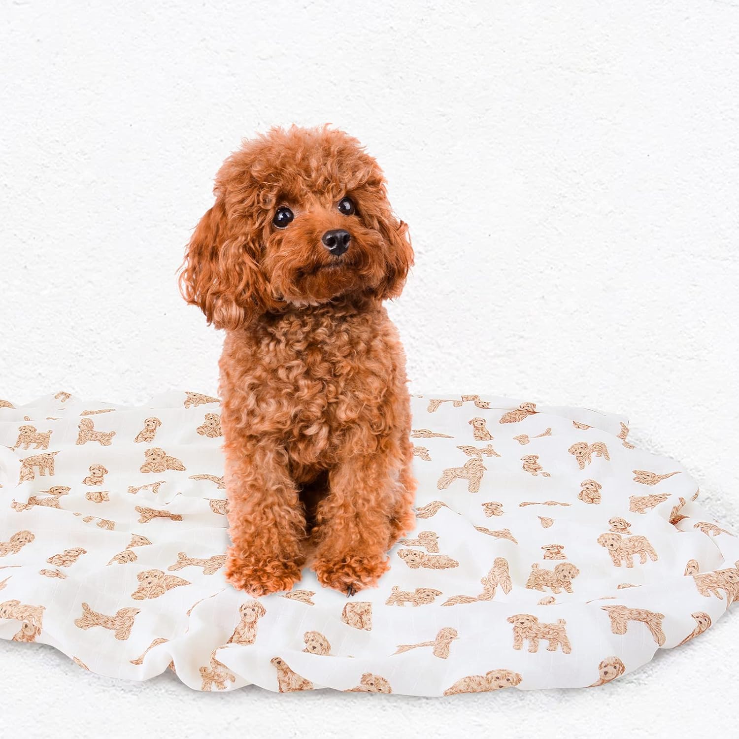 Poofy Poodle (Swaddle)